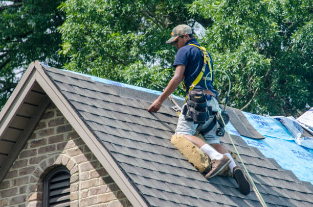Best Roof Maintenance Services  in Brentwood, MD